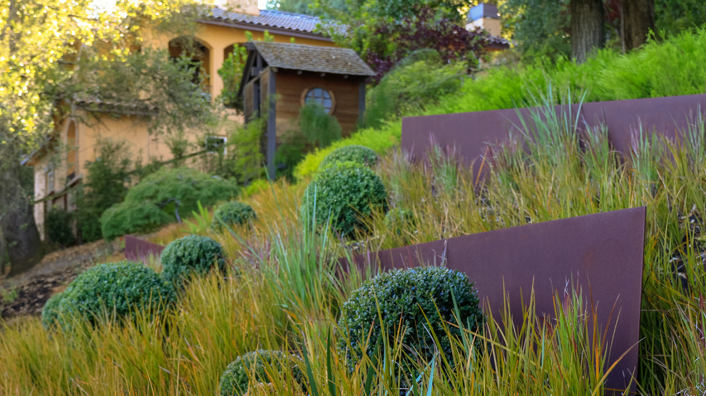 Design ideas for a mid-sized contemporary backyard garden in San Francisco.