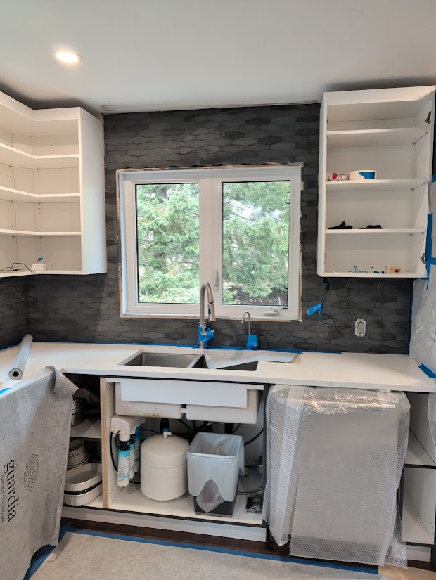 Kitchen Remodel 1