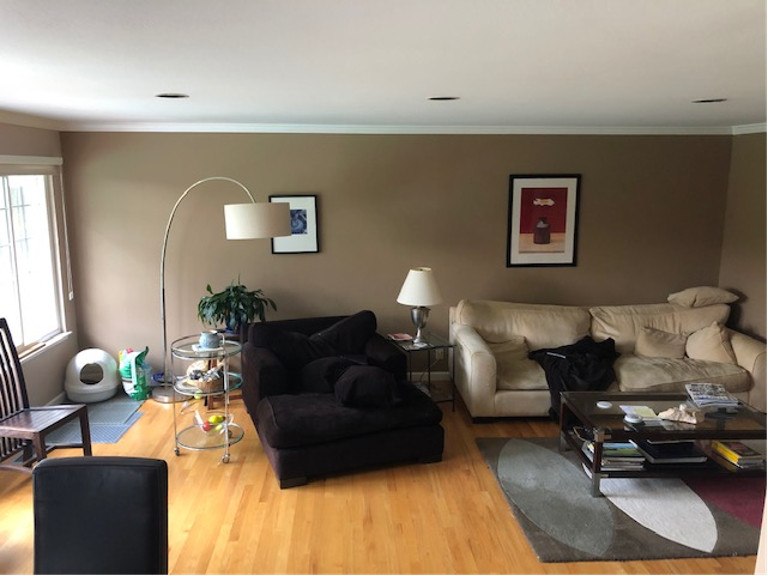 Marin Living Room Before