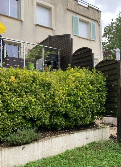 AVANT TERRASSE avant travaux