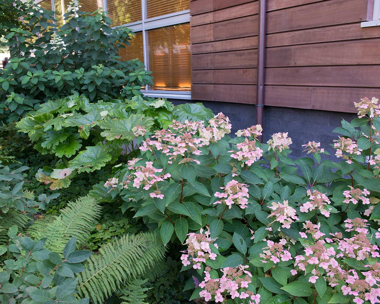 Сад с японским характером в КП Ландшафт