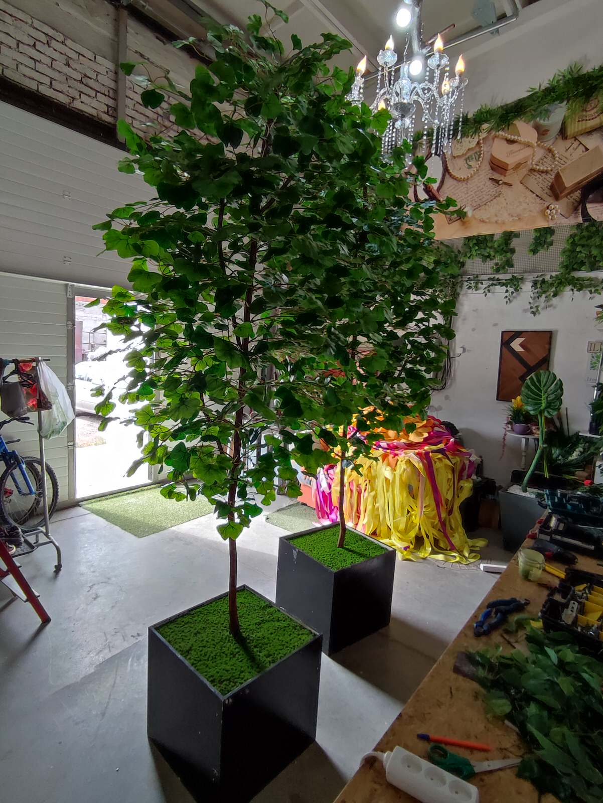 Дерево Гинко для LOGO