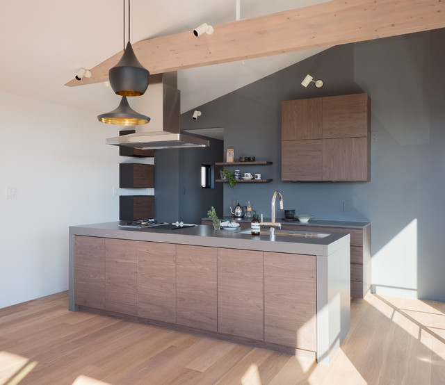 あざみ野の家 Midcentury Kitchen Tokyo Suburbs By Studio Cy 株 スタジオ サイ Houzz