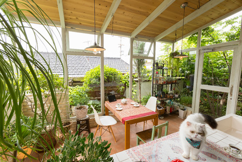 猫と暮らす家100選  Houzz (ハウズ)