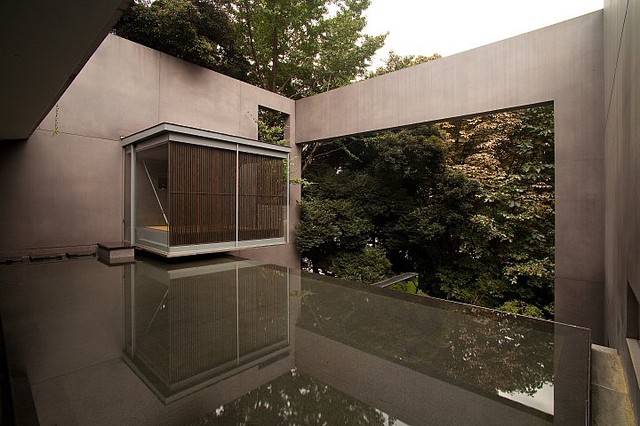 Dancing Tree Singing Bird Eclectic Pool Other By Jimmy Cohrssen Photography ジミー コールセン フォトグラフィー Houzz Au