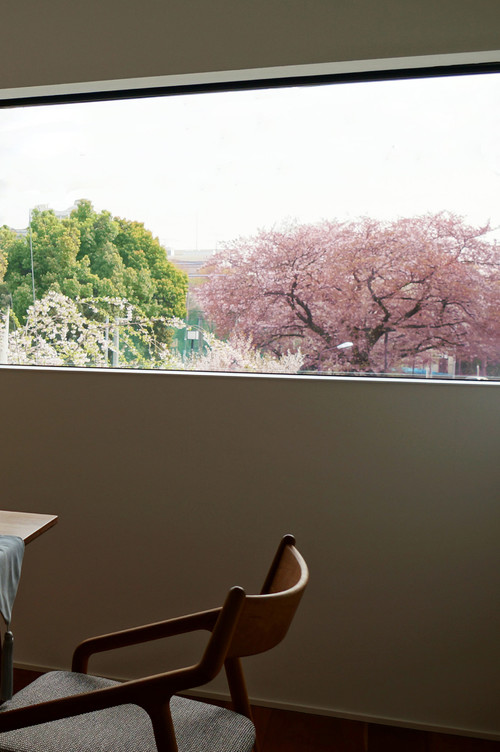 桜を愛でる 美しい日本の家 Houzz ハウズ