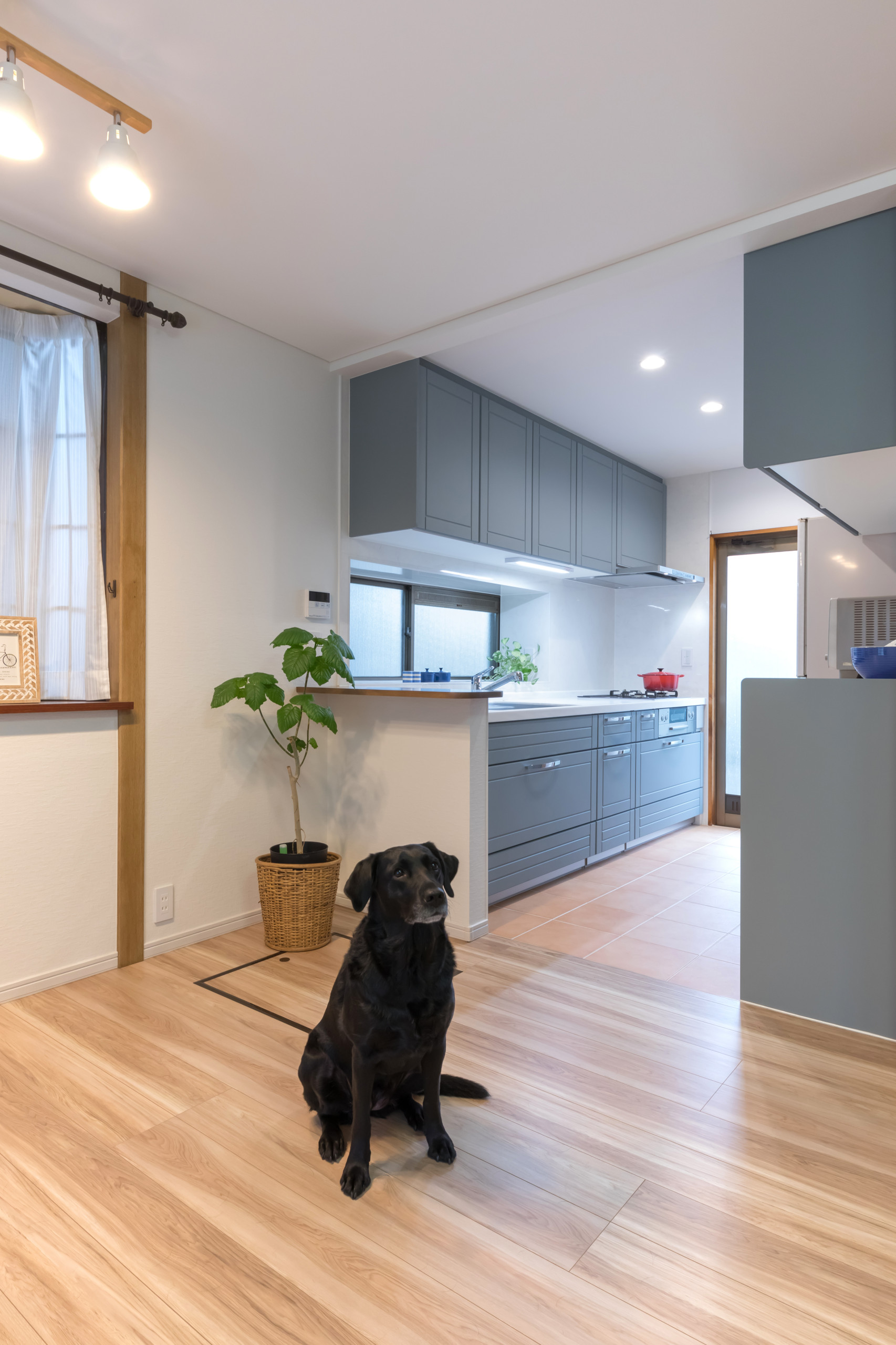 戸建てリフォーム 色にこだわったリフォーム Scandinavian Dining Room Other By 株式会社カナジュウ コーポレーション Houzz