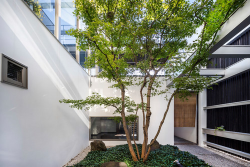 シンボルツリーにおすすめの庭木 樹木は Houzz ハウズ