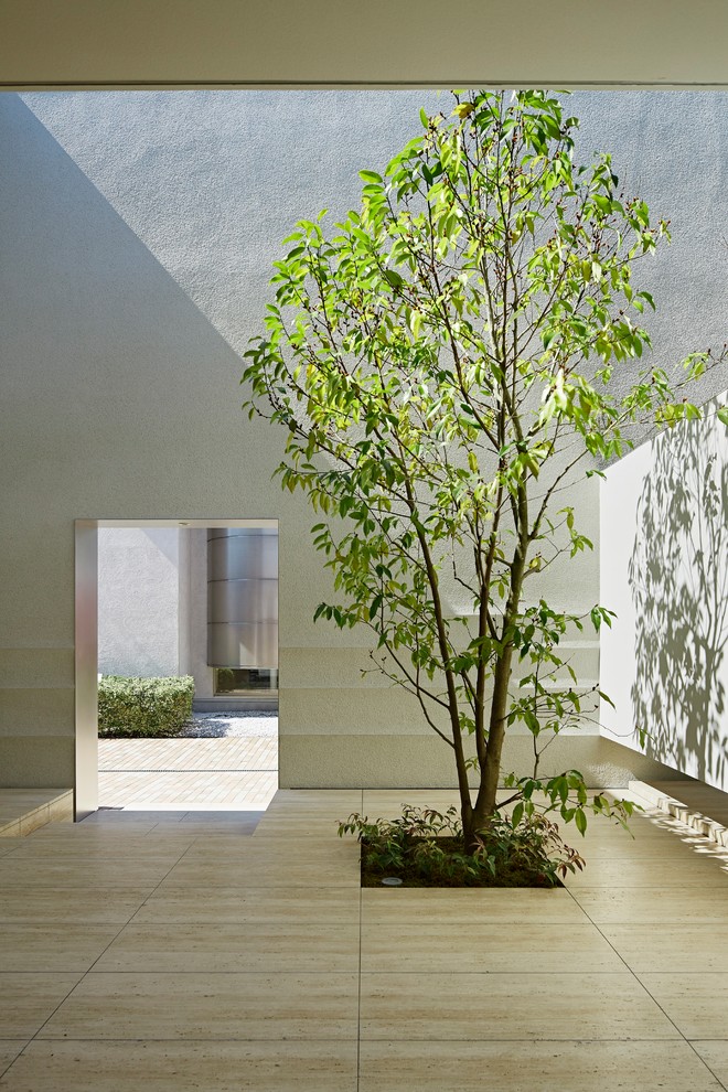 土と光 Patio Tokio De 左官職人 久住有生 左官株式会社 Houzz 土と光 Patio Tokio De 左官職人 久住有生 左官株式会社 Houzz