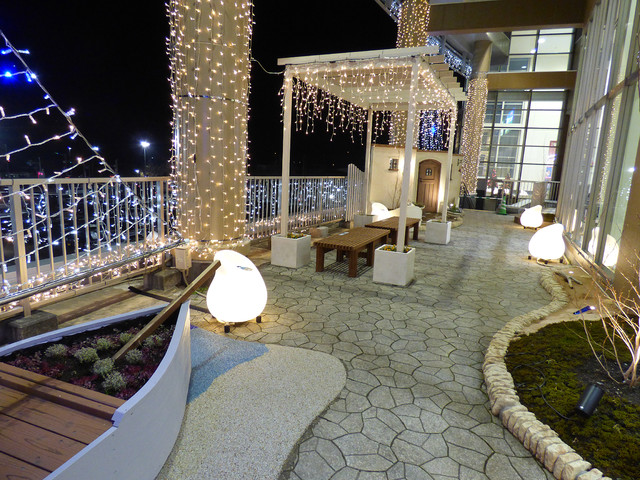 天空に舞う幻想的なオーロラ エクステリアモミの木 花巻店モデッロ 岩手県 イオンモール盛岡 2ｆテラス Asiatique Terrasse Et Patio Faubourg De Tokyo Par Proの庭照明 ライティングマイスター Houzz