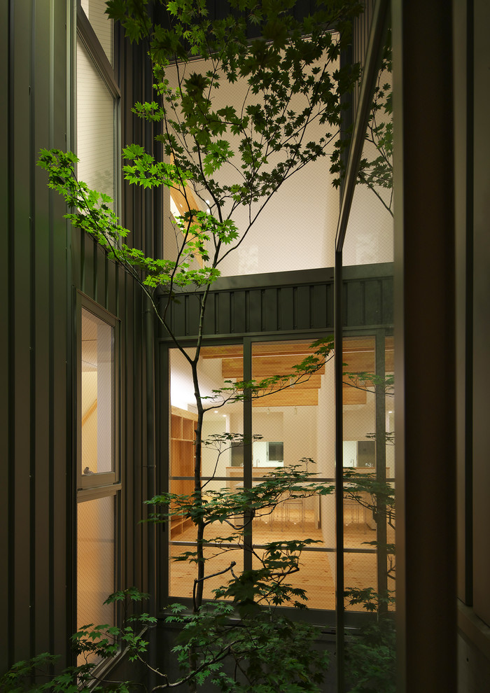 阿倍野の家 シンボルツリーのある中庭を囲む家 House In Abeno Modern Patio Osaka By Arbol一級建築士事務所
