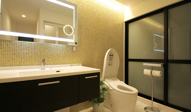 メイクも完璧 ドレッシングルーム Toilettes Autres Perimetres Par Toto株式会社 Toto Ltd Houzz