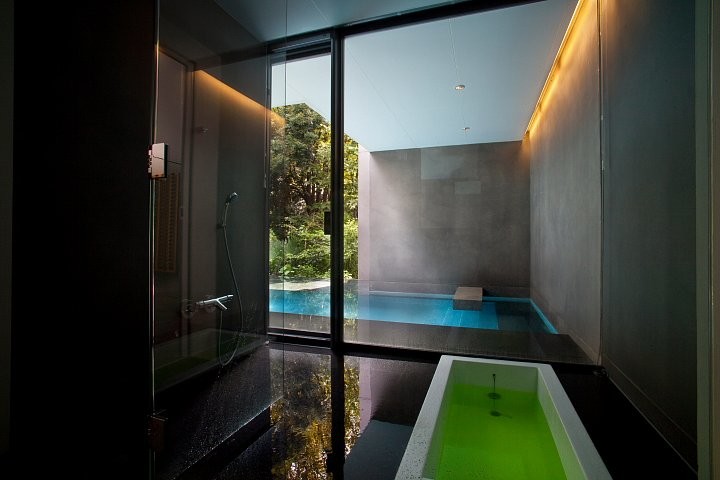 Dancing Tree Singing Bird Eclectic Pool Other By Jimmy Cohrssen Photography ジミー コールセン フォトグラフィー Houzz