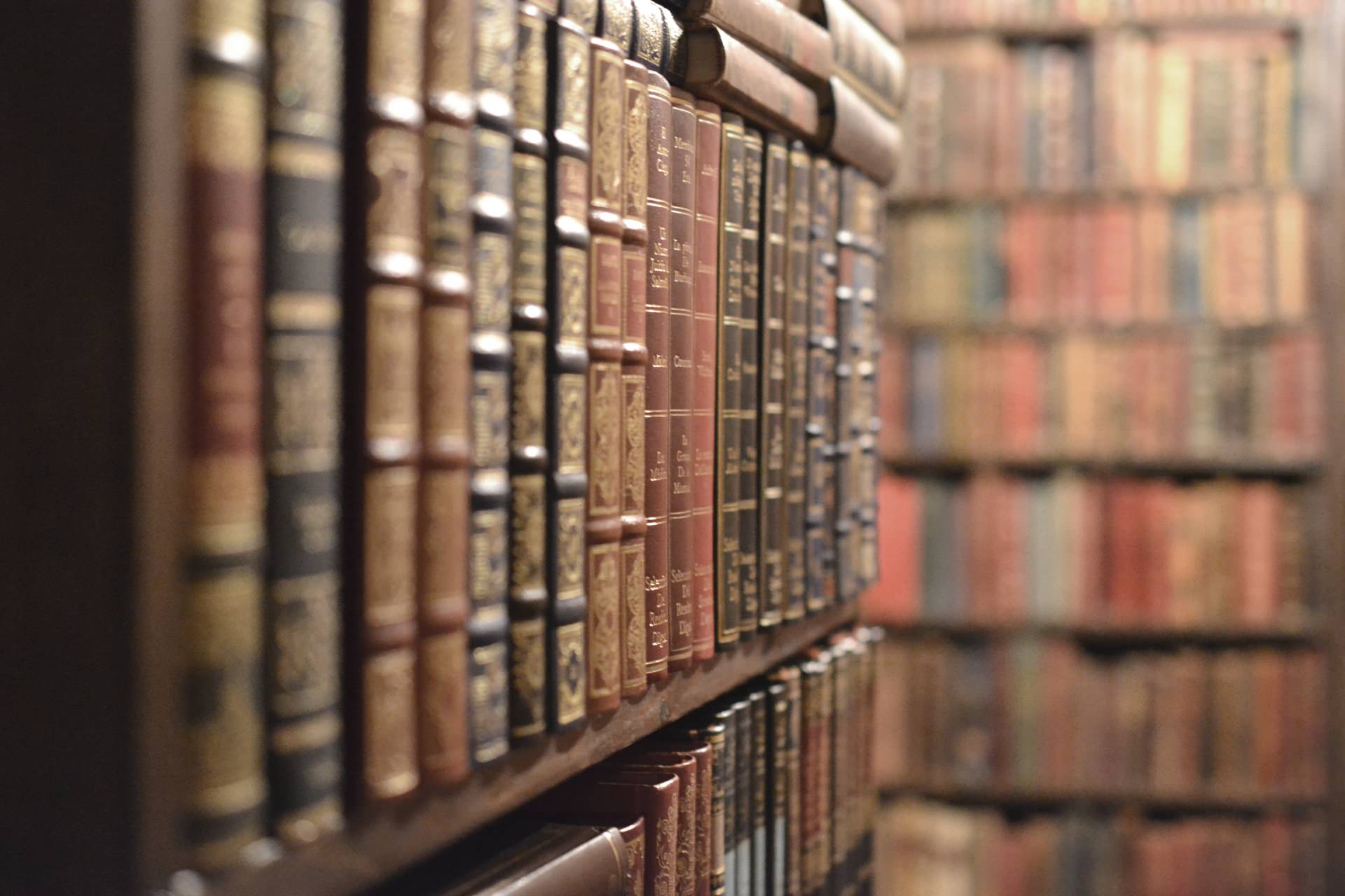 大好き 本棚 アンティーク 図書館 本収納