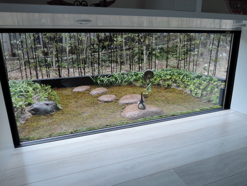 日常に癒しをくれる坪庭 作るなら知っておきたいこと Houzz ハウズ 日常に癒しをくれる坪庭 作るなら知っておきたいこと Houzz ハウズ