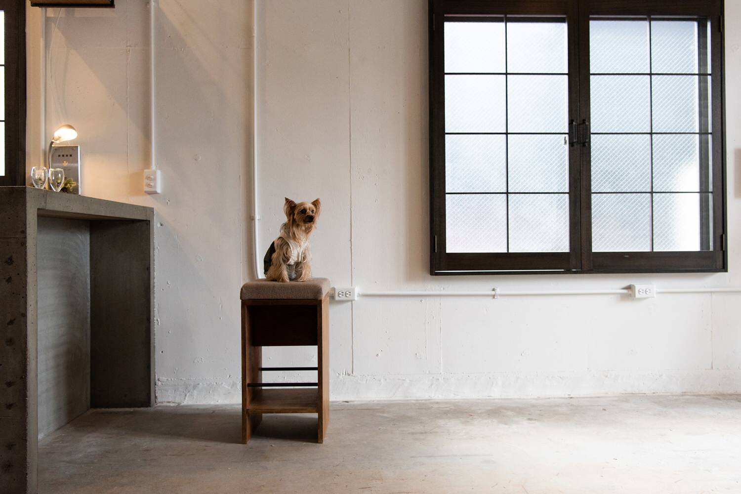 木製網戸です Industrial Home Office Tokyo By Club66 小野あゆみ Houzz