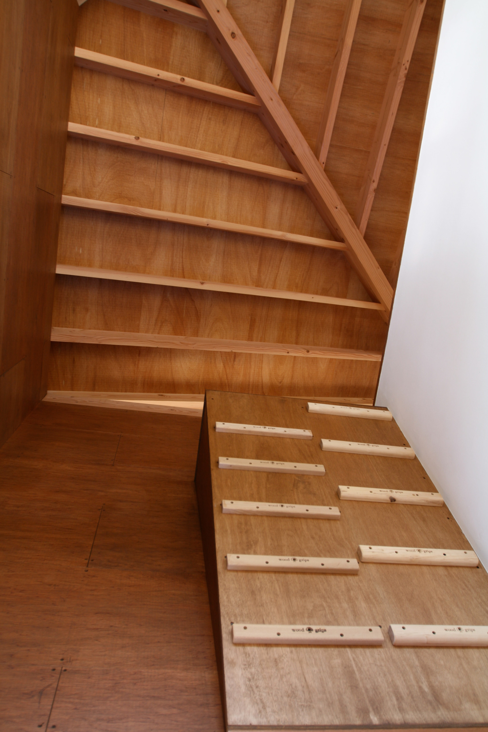 Scandinavian Home Gym Design Ideas Inspiration Images September 21 Houzz In