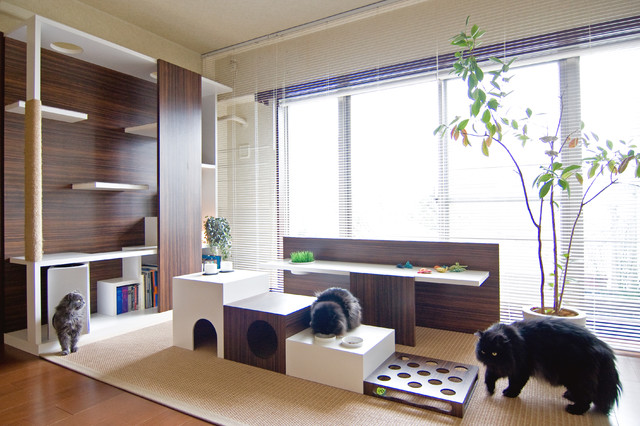 ネコとの上質な暮らし Moderne Salon Osaka Houzz