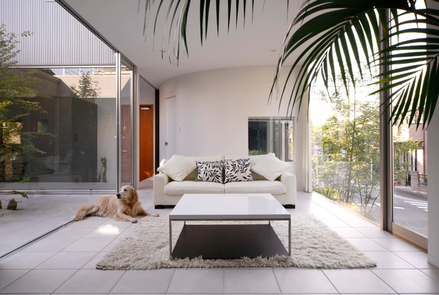 犬と暮らす中庭の家 コンテンポラリー リビング 横浜 Shinsuke Fujii Architects Houzz ハウズ