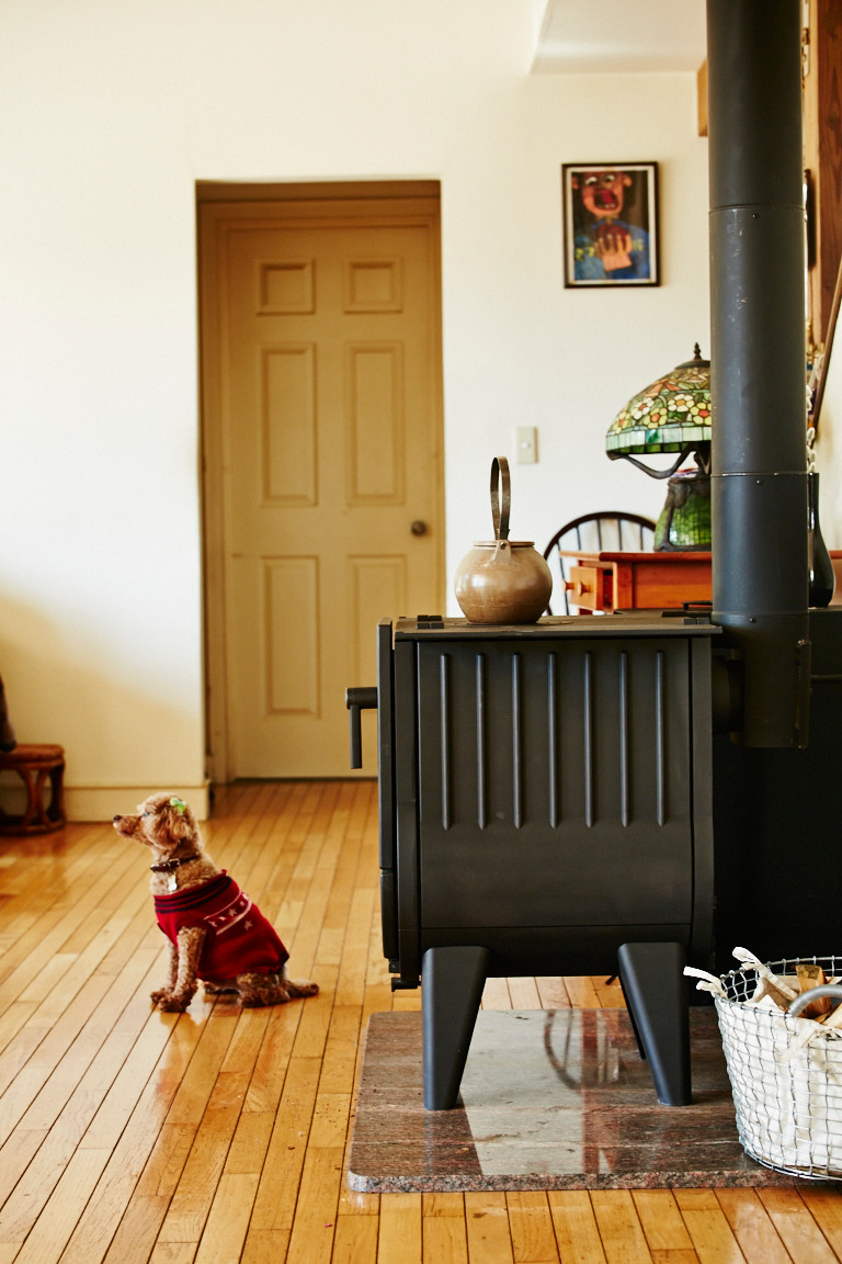 犬と暮らす家 Irondog Nº03 Modern Living Room Other By 株式会社ディーエルディー Houzz