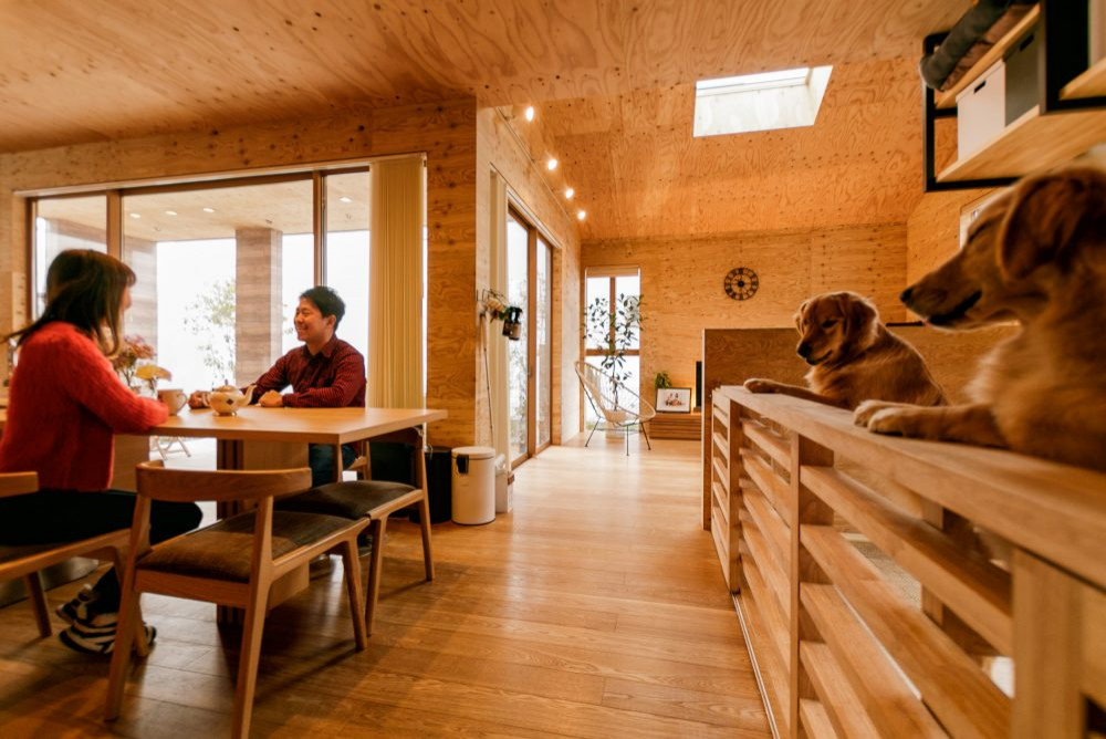犬と猫のための家 Living Room Other Houzz