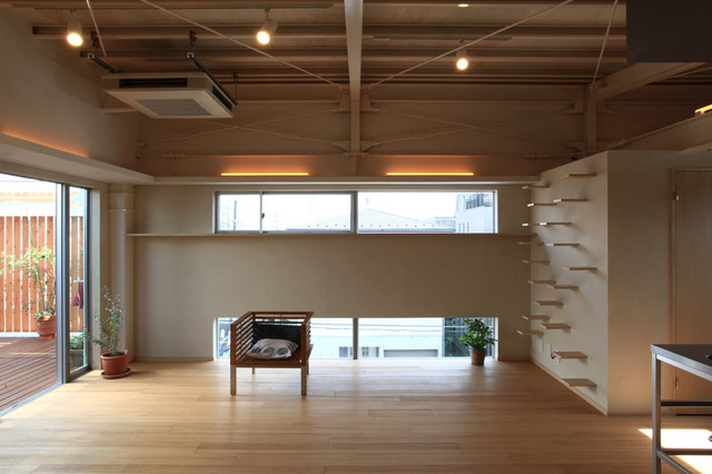 猫と犬と暮らす家 Industrial Living Room Tokyo Suburbs By イトレス Acd 一級建築士事務所 Houzz