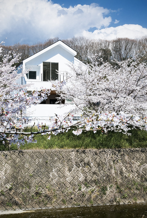 自宅からお花見を 桜を眺める家6選 Houzz ハウズ