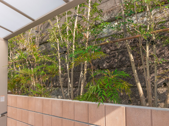 シマトネリコとマホニアコンフーサ Contemporain Facade Yokohama Par 株式会社healthegarden Houzz