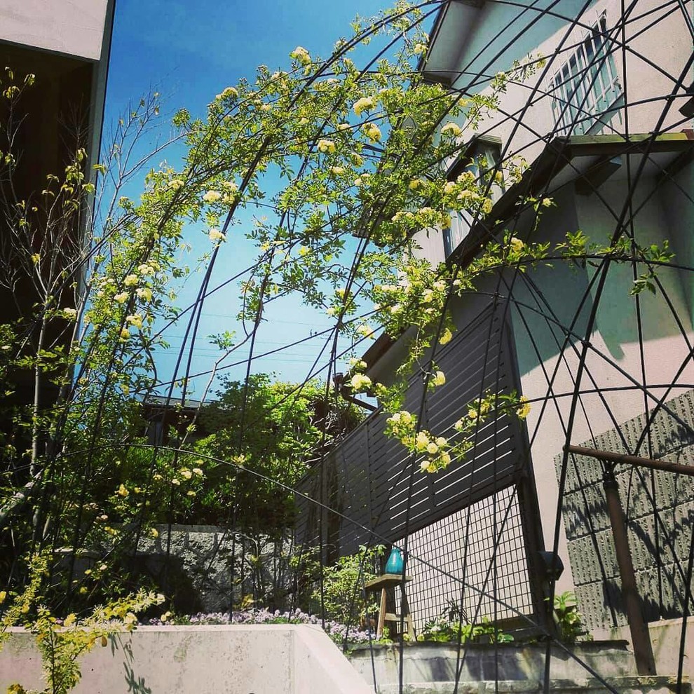 モッコウバラのアイアンアーチ Scandinavian Exterior Nagoya By Atelier Coconiwa アトリエ心庭 Houzz