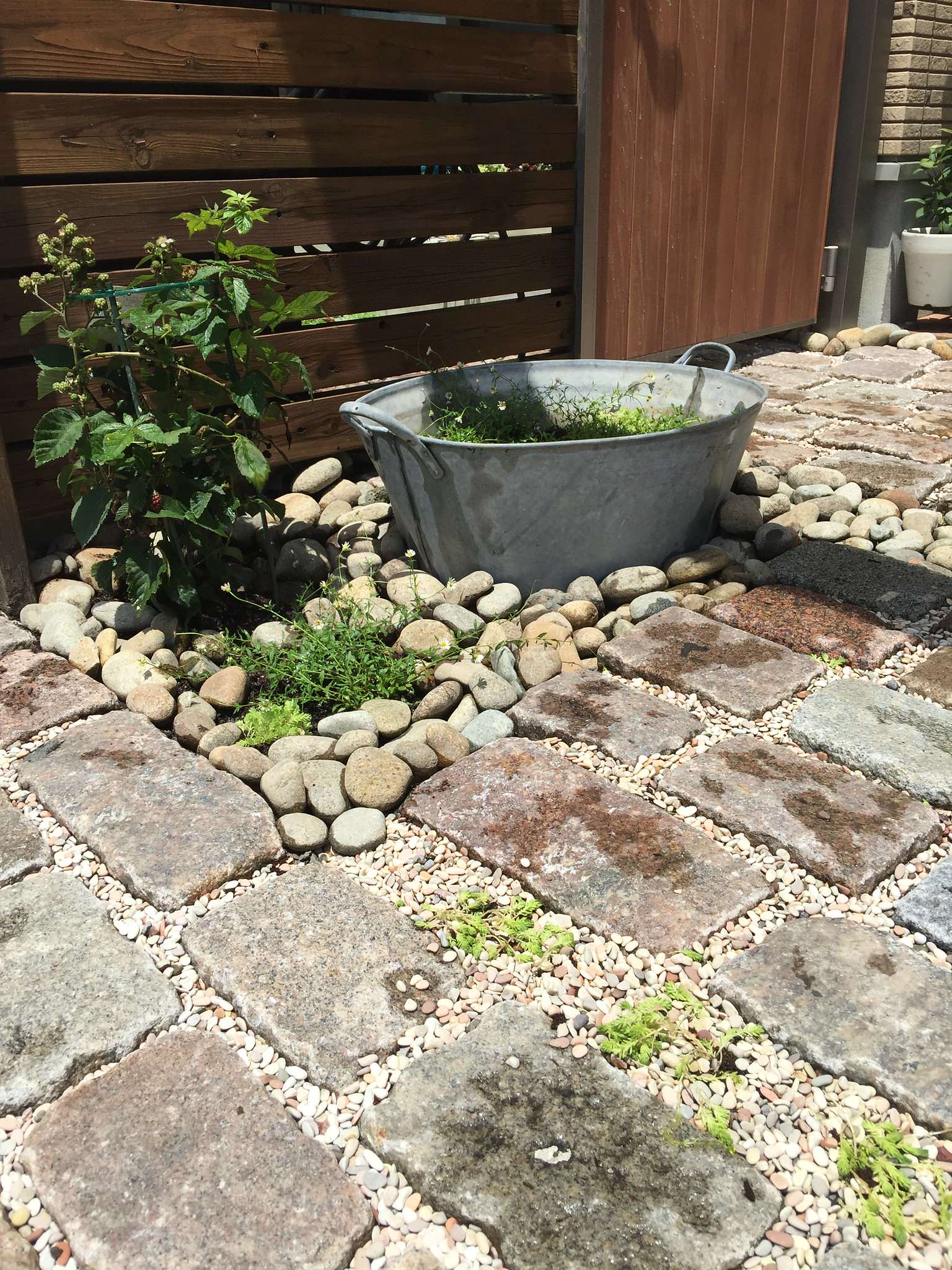 ちいさな花壇 Landscape Nagoya By Atelier Coconiwa アトリエ心庭 Houzz