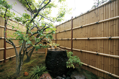 竹の基礎知識から 竹垣のお手入れ方法まで 竹を知り 竹を使おう Houzz ハウズ