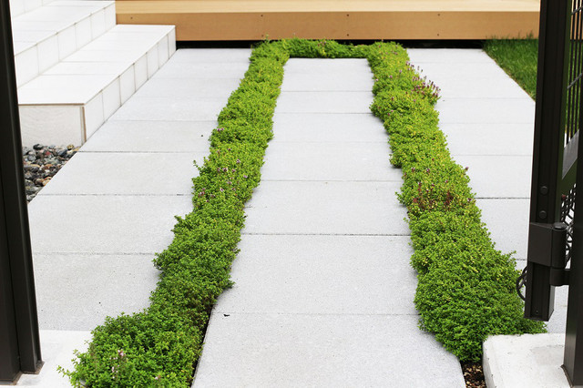 ゴールデンレモンタイム Modern Garden Sapporo By エクスリーフ Houzz