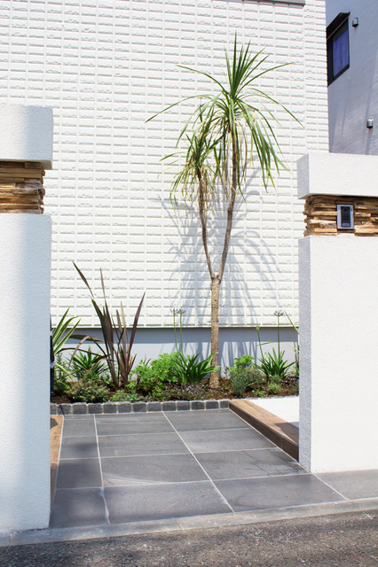 シンボルツリー ドラセナ Modern Garden Other By スペースガーデニング Houzz Ie シンボルツリー ドラセナ Modern Garden Other By スペースガーデニング Houzz Ie