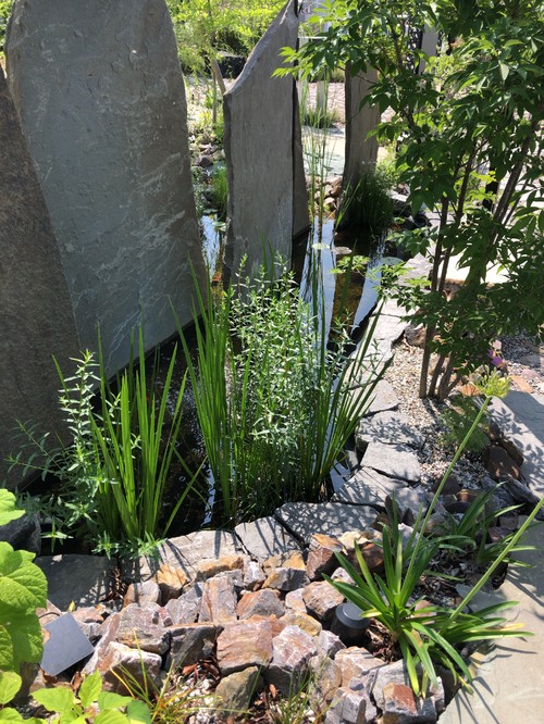 専門家が教える ビオトープのある庭のつくり方 Houzz ハウズ