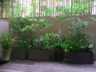 プランター植栽 Jardin Tokio De 庭楽 Teiraku Houzz プランター植栽 Jardin Tokio De 庭楽 Teiraku Houzz