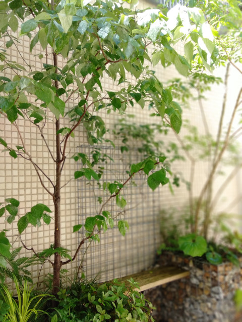 ベンチ つるバラフェンス付きガビオンのプランター Moderne Japonais Jardin Tokyo Par 成城グリーン株式会社 Houzz ベンチ つるバラフェンス付きガビオンのプランター Moderne Japonais Jardin Tokyo Par 成城グリーン株式会社 Houzz