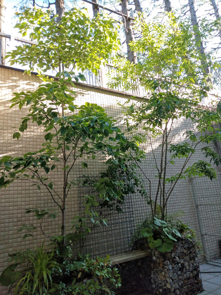 ベンチ つるバラフェンス付きガビオンのプランター Moderne Japonais Jardin Tokyo Par 成城グリーン株式会社 Houzz