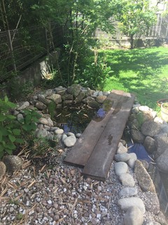 メダカ池とクローバーの庭 Landstil Have Nagoya Af Atelier Coconiwa アトリエ心庭 Houzz