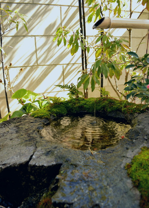 涼しさ満点 水を庭に取り入れる Houzz ハウズ