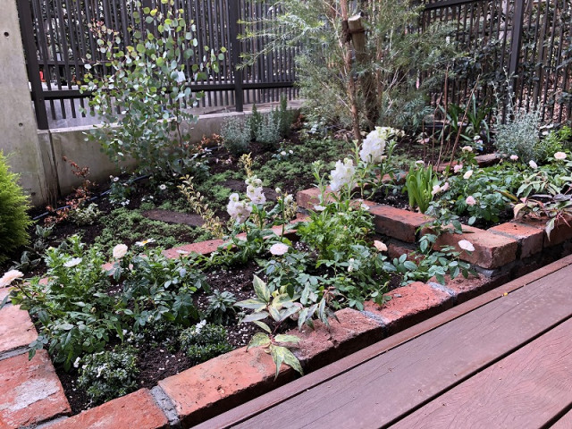 世田谷区 起伏のあるナチュナルガーデン アンティークレンガの花壇 モダン 庭 東京23区 ぐりんぐりん Grengren Houzz ハウズ