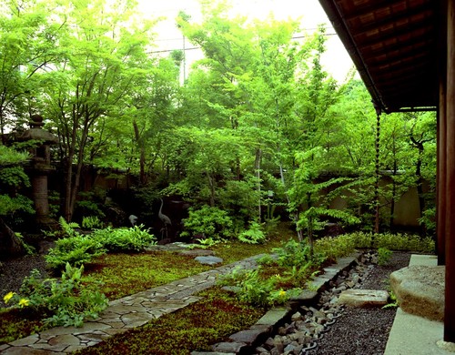 お手入れしやすく 海外でも注目 日本原産の植物でつくる庭 Houzz ハウズ お手入れしやすく 海外でも注目 日本原産の植物でつくる庭 Houzz ハウズ