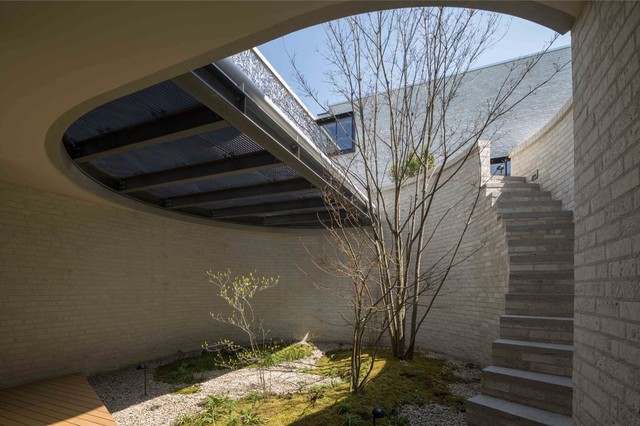 地下の庭 右は1階への階段 Lower Garden Staircase To First Floor On Right Contemporary Garden Tokyo By Ken Yokogawa Architect Associates Inc Houzz