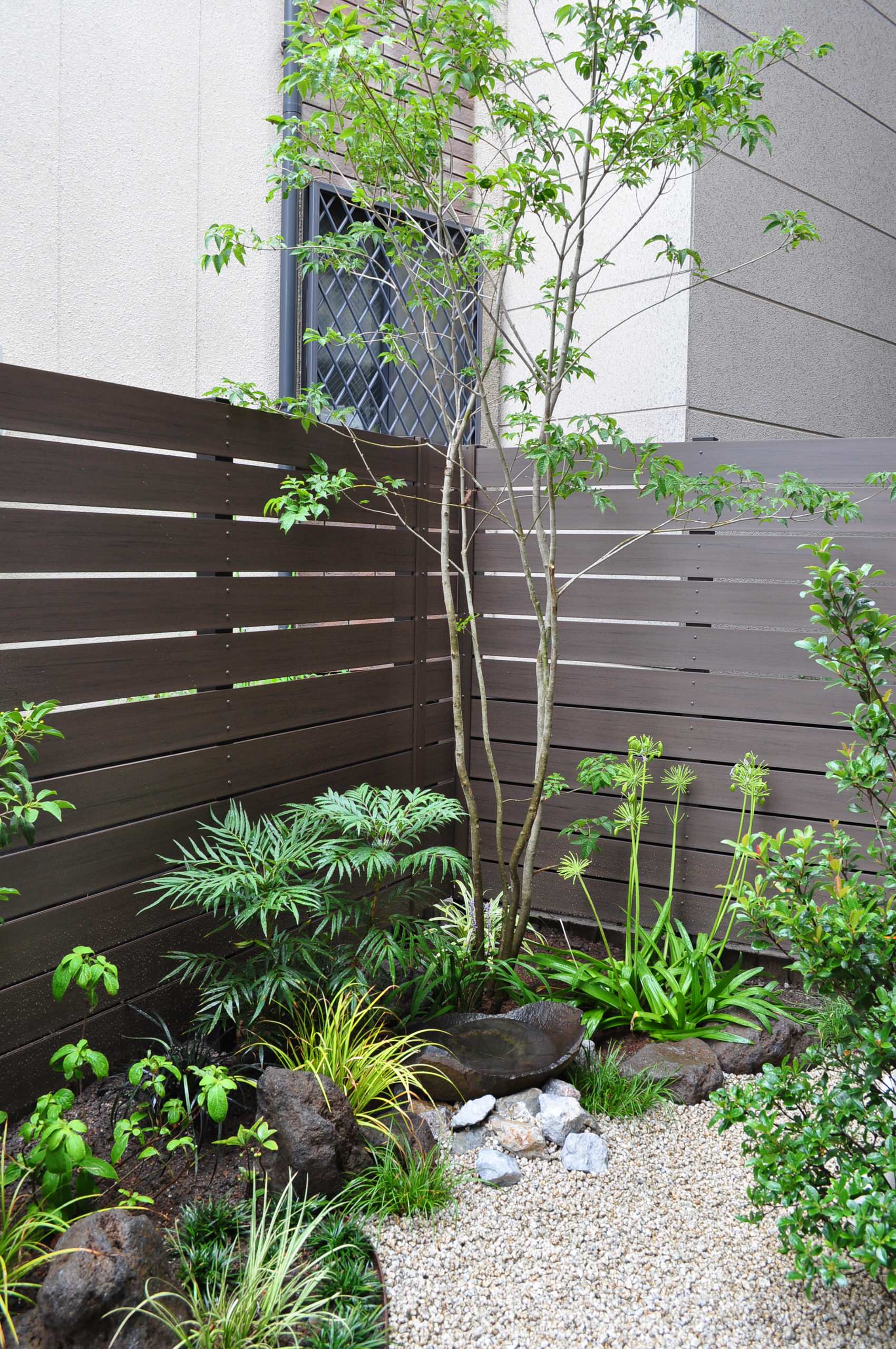 枝のすっきりとしたアオダモの下でナチュラルなデザインを Japanese Landscape Other By 造園 庭造り専門店 新美園 Houzz 枝のすっきりとしたアオダモの下でナチュラルなデザインを Japanese Landscape Other By 造園 庭造り専門店 新美園 Houzz