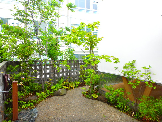 自然風な駐車場と雑木の木立のある庭 Asiatique Jardin Autres Perimetres Par 彩葉苑 いろはえん Houzz