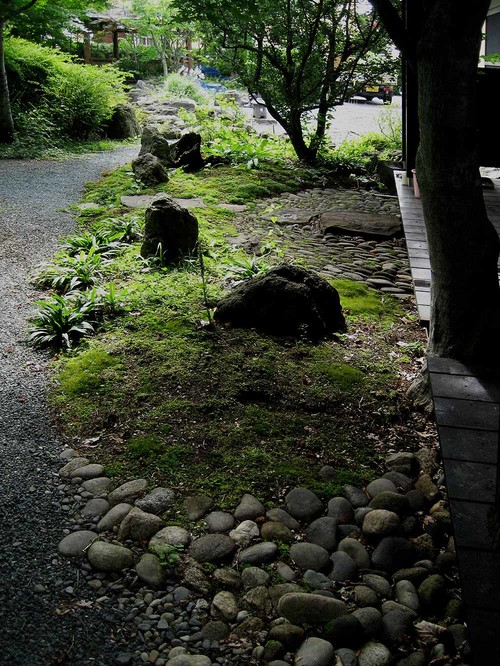 緑のふわふわカーペット 苔の特徴を知ってモスガーデンを作ろう Houzz ハウズ