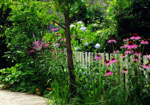 スタイルから考える花壇 Houzz ハウズ スタイルから考える花壇 Houzz ハウズ
