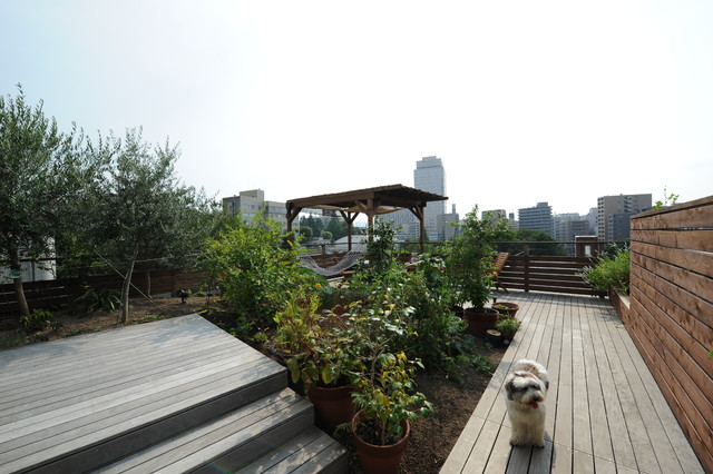 Urban Rooftop Garden 屋上庭園 Modern Garden Tokyo By Masatoyo Ogasawara Architects Ltd 小笠原正豊建築設計事務所 Houzz