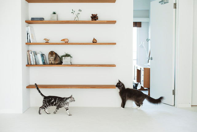 犬 猫のいる暮らし Nordico Recibidor Y Pasillo Tokio De 株式会社フリーステッチ