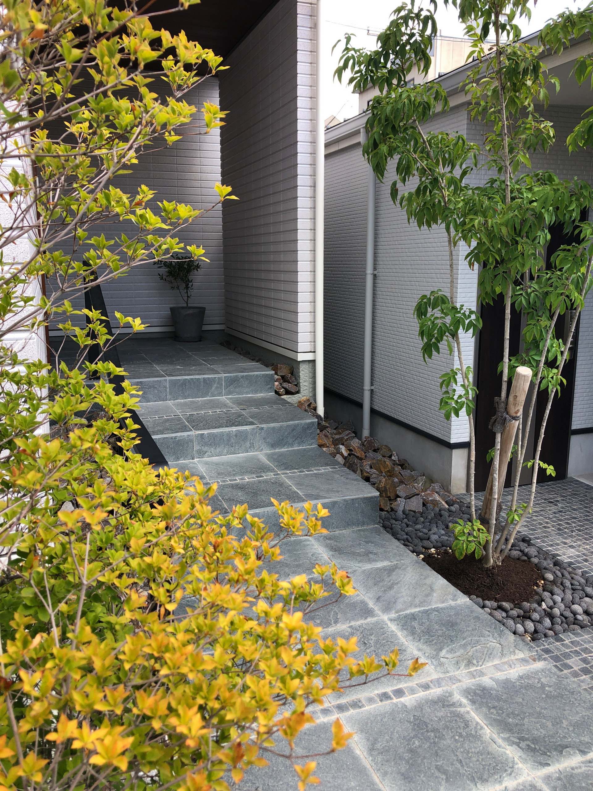 モダンな石貼りの庭 Modern Entry Nagoya By Atelier Coconiwa アトリエ心庭 Houzz