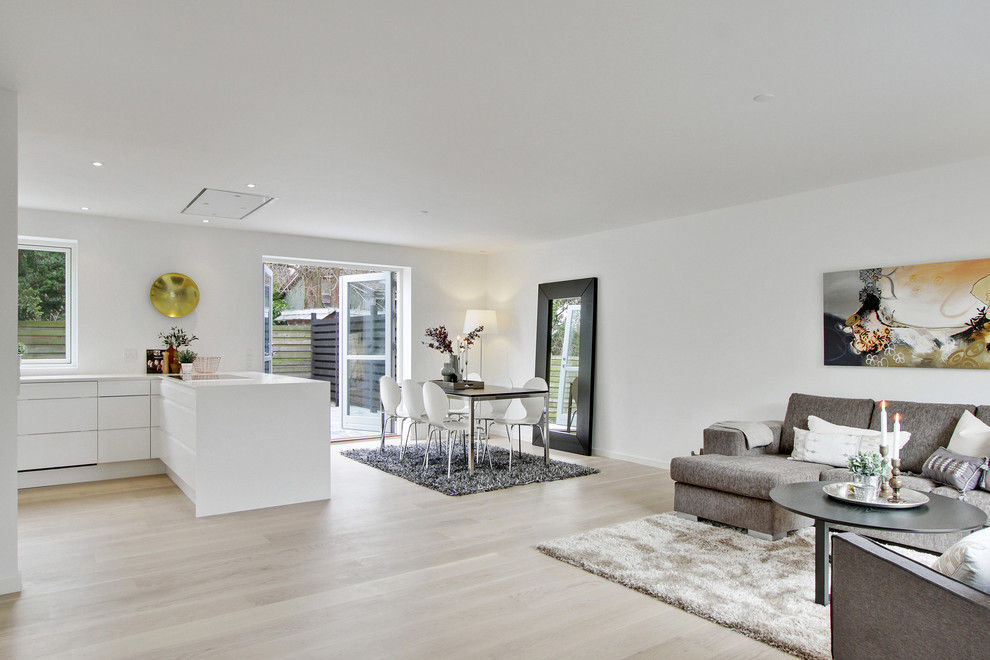 Cette image montre une grande salle de séjour minimaliste avec un mur blanc, parquet clair et un sol beige.